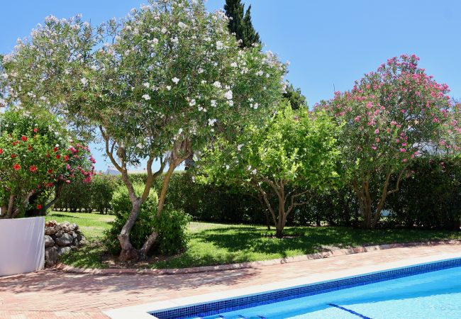 Villa in Carvoeiro - Villa Susanna Villa in Carvoeiro - Villa Susanna