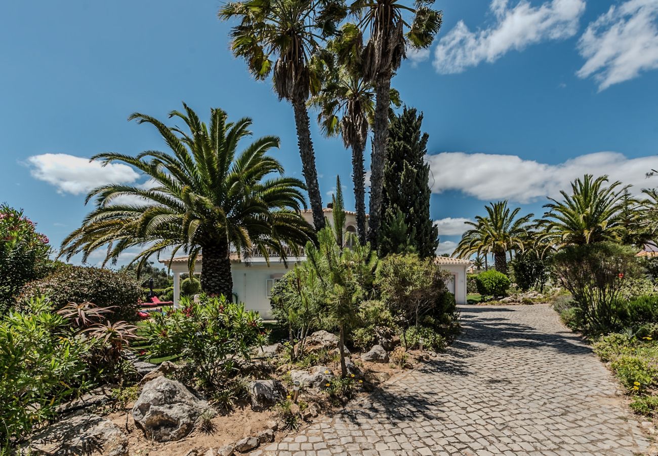 Villa in Carvoeiro - Casa Muriel