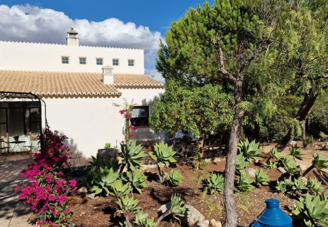 Villa in Carvoeiro - Casa Zambujeiro Villa in Carvoeiro - Casa Zambujeiro