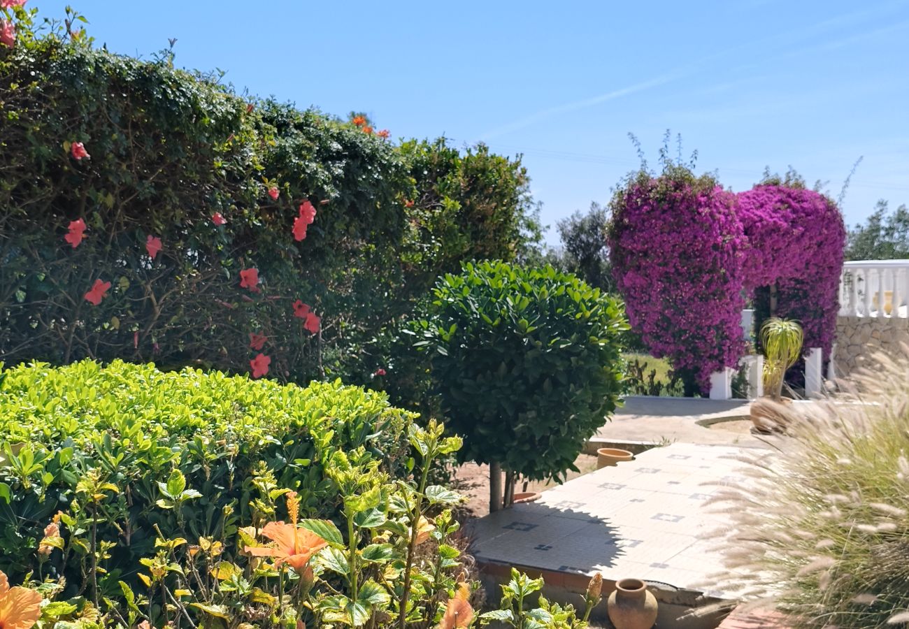 Villa in Carvoeiro - Casa Loureiro