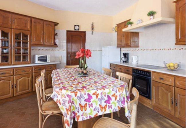 Villa in Carvoeiro - Villa João Pedro Villa in Carvoeiro - Villa João Pedro
