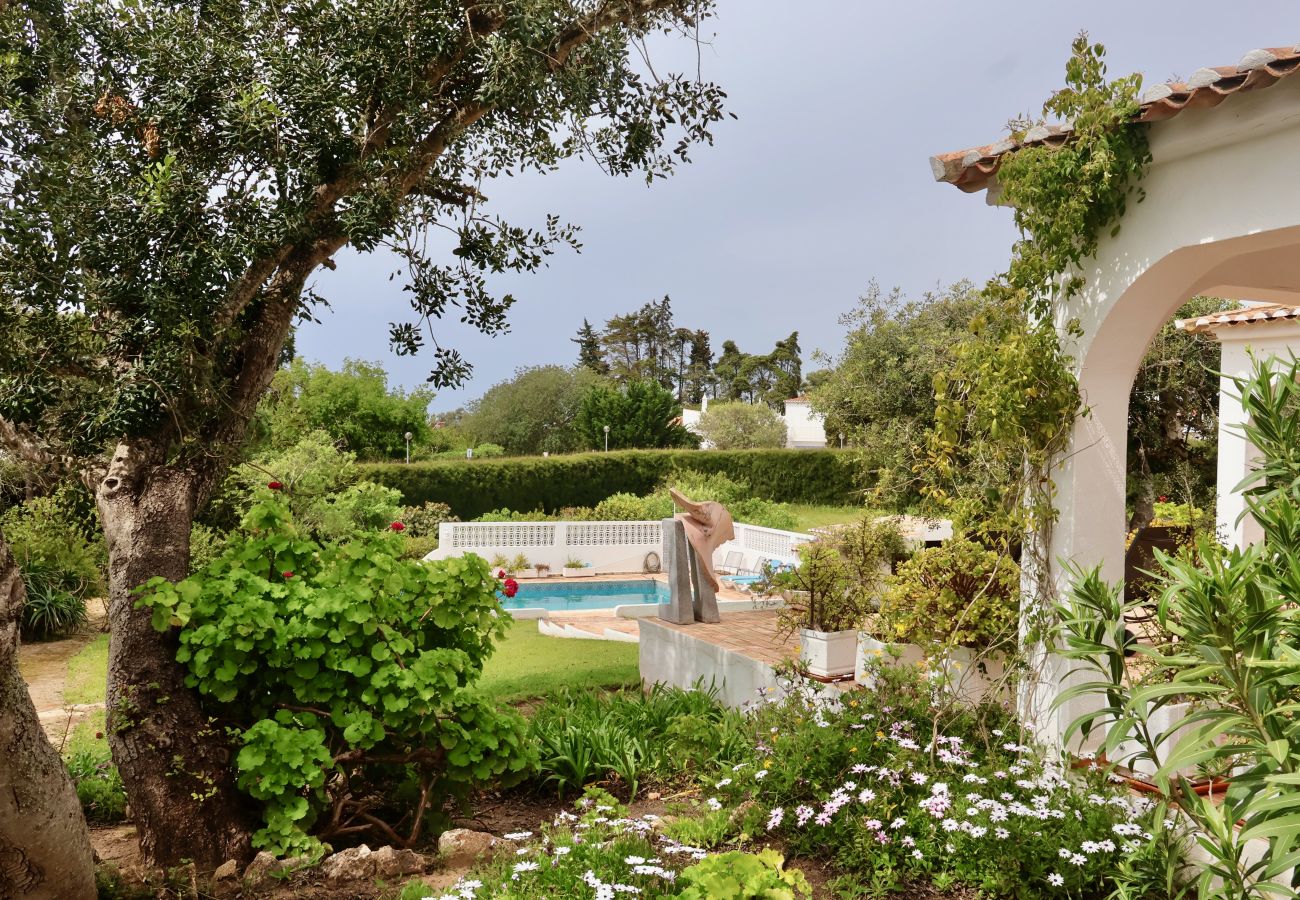 Villa in Carvoeiro - Casa Lourenço Marques