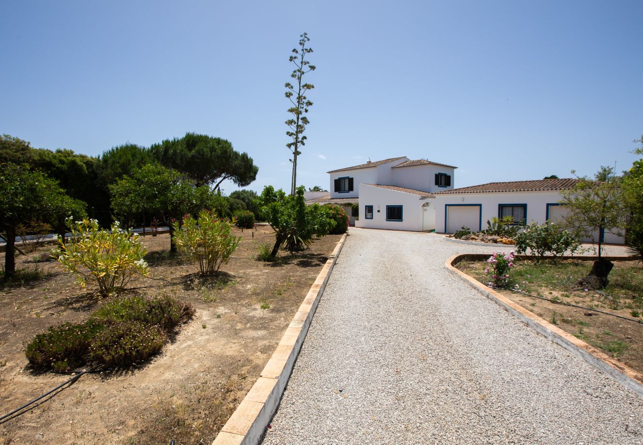 Villa in Carvoeiro - Casa Lourenço Marques