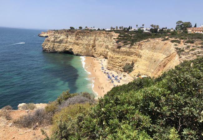 Apartment in Carvoeiro - Centeano Beach Apartment