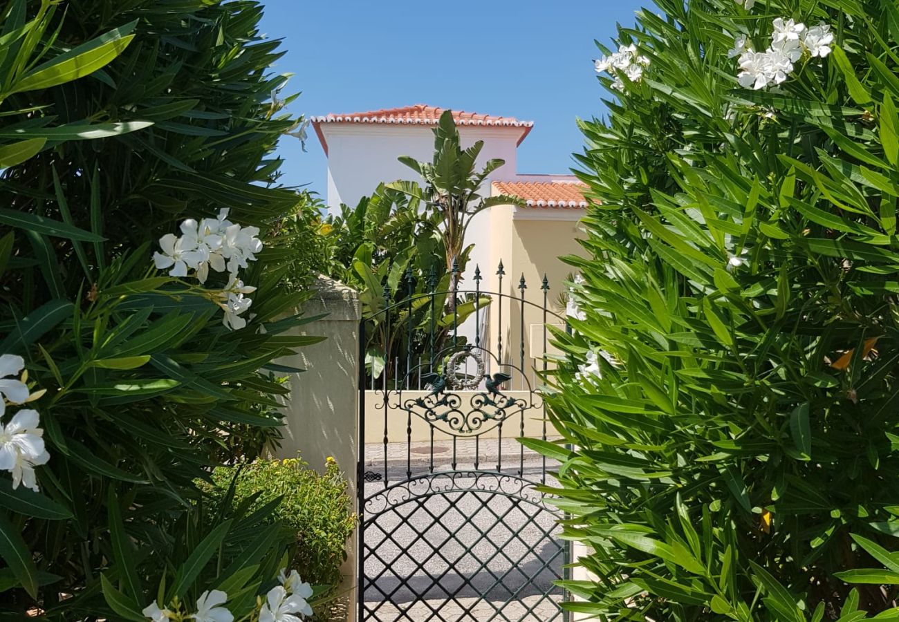 Villa in Carvoeiro - Vila Nautilus