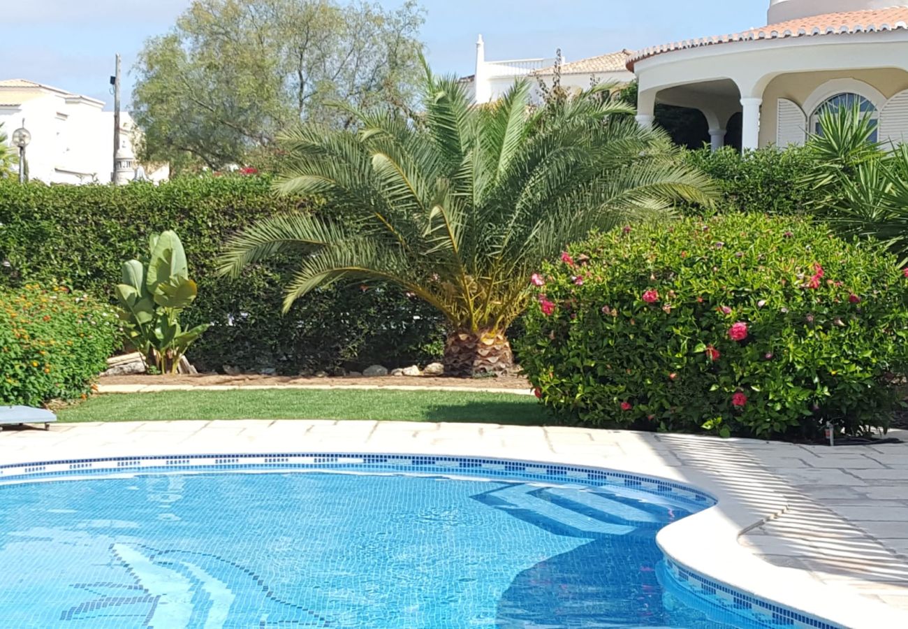 Villa in Carvoeiro - Vila Nautilus