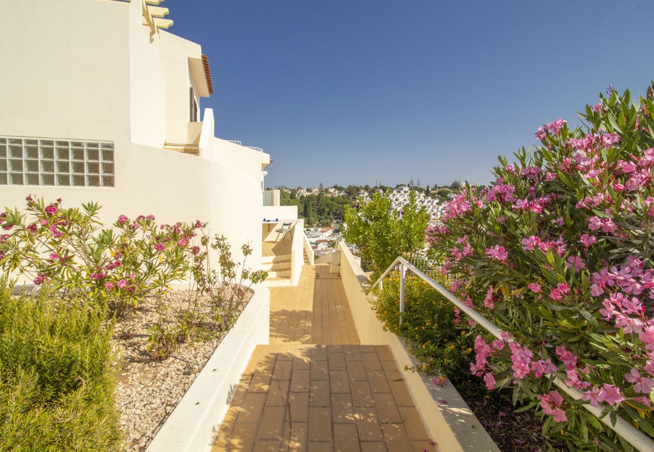 Apartment in Carvoeiro - Casa Lottie