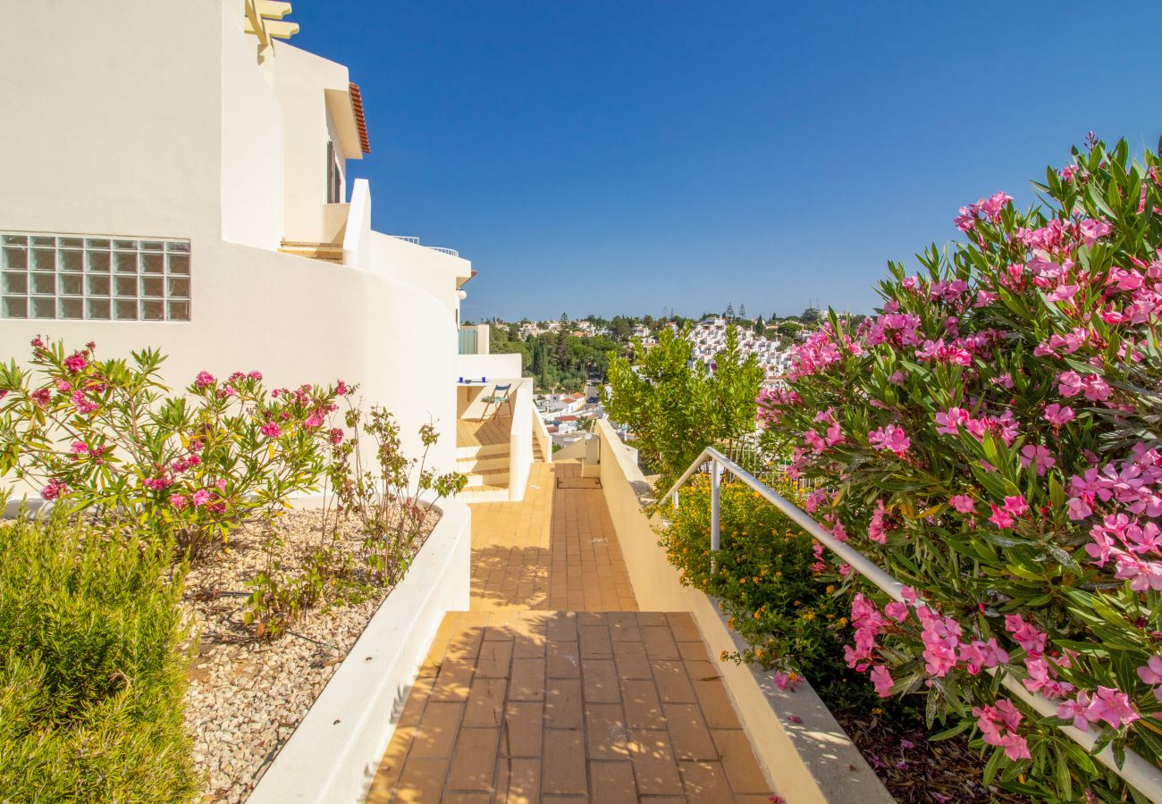 Apartment in Carvoeiro - Casa Lottie