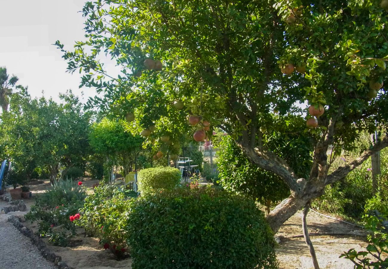 Villa in Carvoeiro - Castelo Mouro